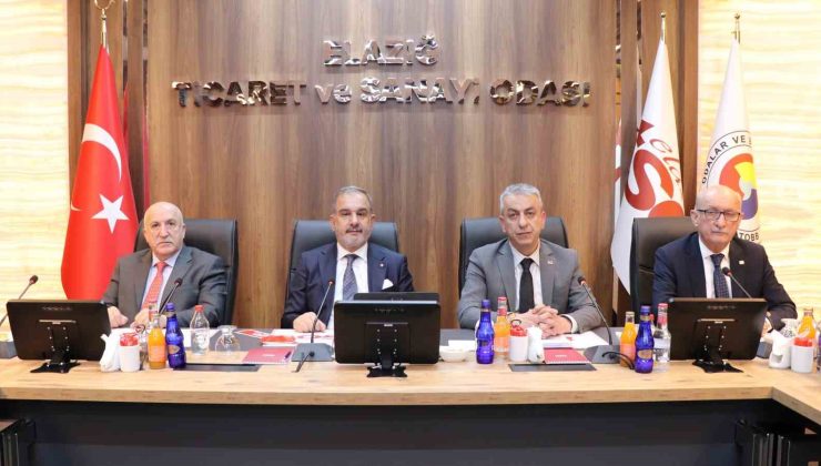 Teşvik kararı, birliğimizin gücünü göstermesi adına anlamlı ve değerlidir”