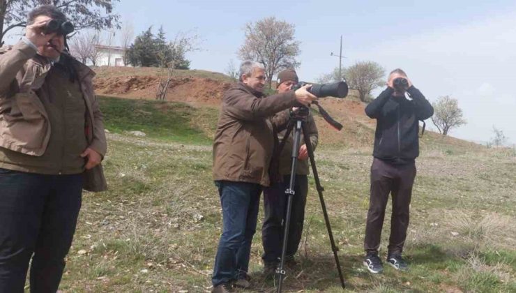 Elazığ’da güncel kuş yoğunluk haritası çalışmaları