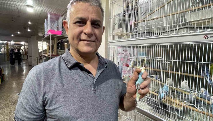 Elazığ’da muhabbet kuşlarına yoğun ilgi