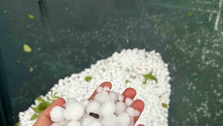 Elazığ’ın yüksek kesimlerinde dolu etkili oldu