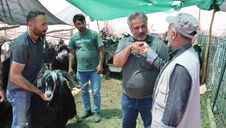 Elazığ’da ’kol kıran’ pazarlıklar sürüyor