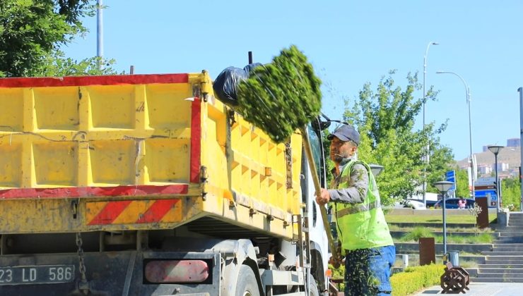 Millet Bahçesinde kapsamlı düzenleme çalışması