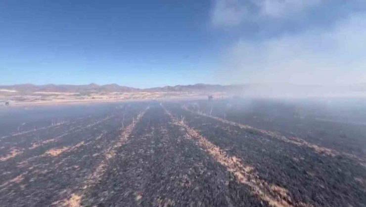 Elazığ’da yangın, 60 dönümlük ekili alanı küle çevirdi