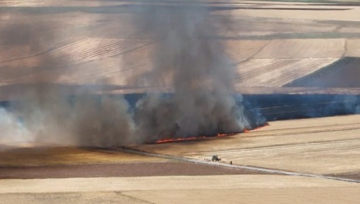Elazığ’da arazi yangını, ekili alanlarda küle döndü