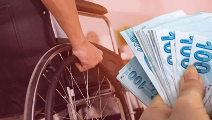Engellilere Hibe Desteği Başvuruları Başladı