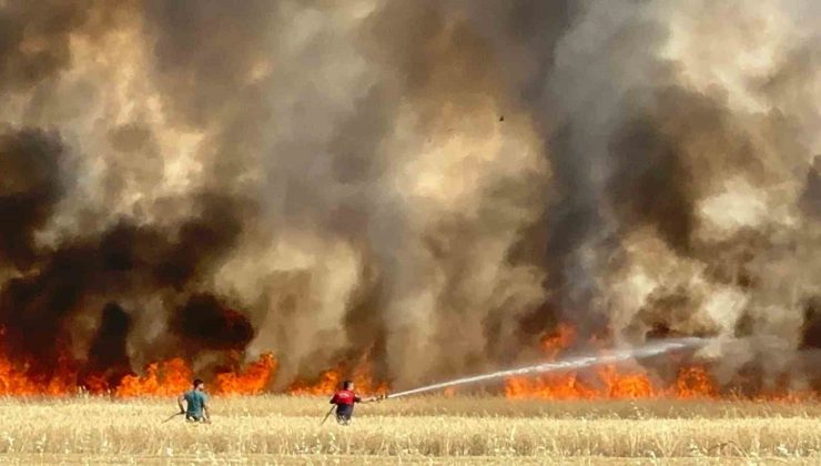 Elazığ’da arazi yangını: Ekili alanlar da küle döndü