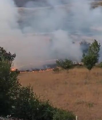 Elazığ’da otluk alanda yangın