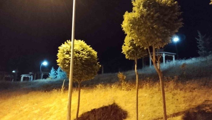 Elazığ’da kuvvetli rüzgar etkili oldu