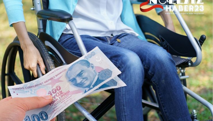 Evde bakım maaşı kişi başına düşen gelir nasıl belirleniyor?