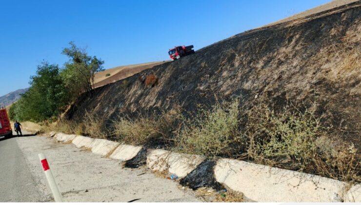 Elazığ’da otluk alanda yangın