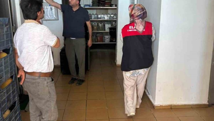 Arıcakta gıda üretim yerlerine denetim