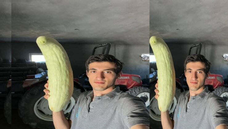 Elazığ’da 4,5 kiloluk dev acur hayrete düşürdü