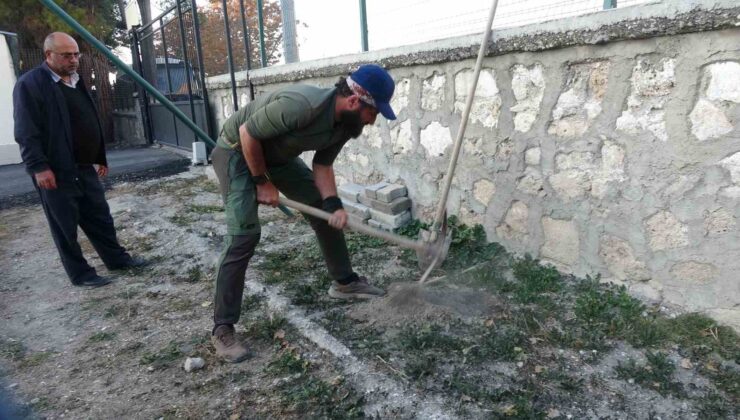 Köpeği ile birlikte tüm Türkiye’yi gezip fidan dikiyor