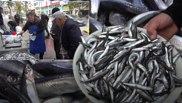 Denize kıyısı olmayan şehirde hamsinin kilosu 50 TL’ye düştü, vatandaş poşet poşet aldı