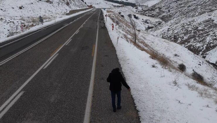 Kuşlar için yol kenarlarına buğday serptiler