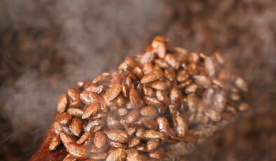 Gelenekten yeniliğe: Türk kahveli badem şekeri