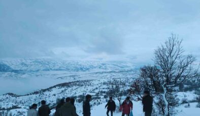 Arıcak’ta yaban hayvanları unutulmadı