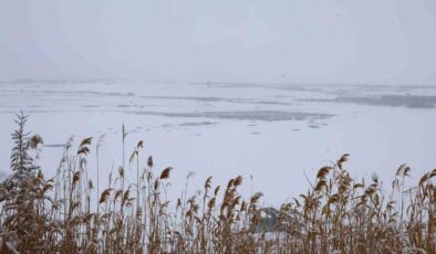 Cip Baraj Gölü buz tuttu