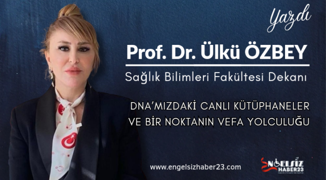 DNA’mızdaki Canlı Kütüphaneler ve Bir Noktanın Vefa Yolculuğu