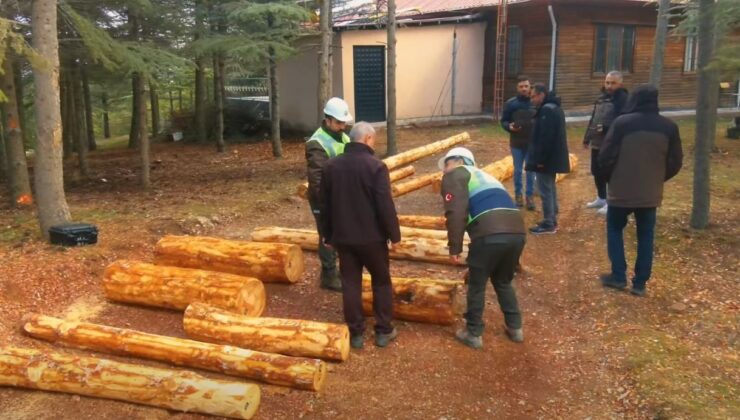 Türkiye ormancılık yarışmaları Elazığ’da düzenlendi