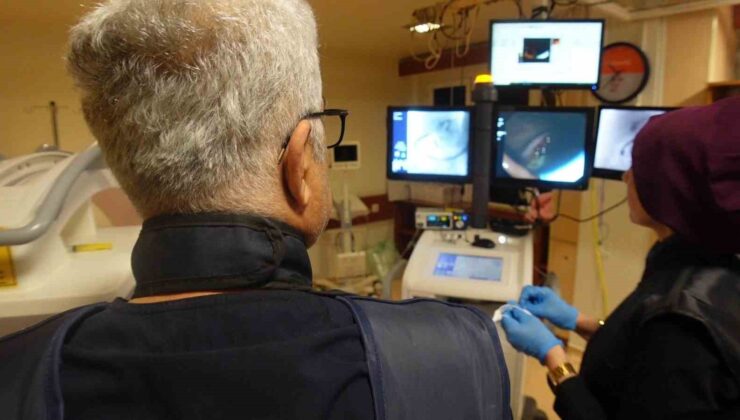 Prof. Dr. Yalnız: “Sağlıklı yaşam için düzenli hareket edilmesi gerekiyor”