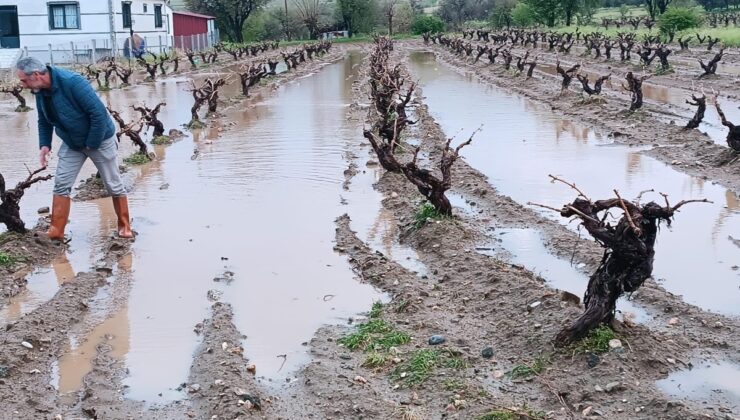 Elazığ’da dolu yağışı sonrası hasar tespit çalışması