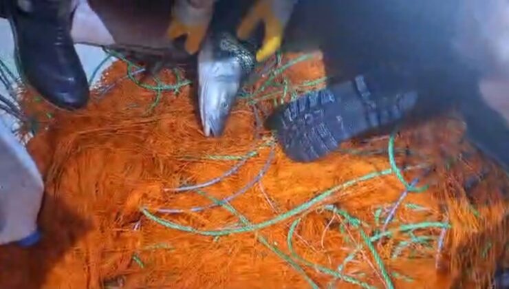 Elazığ’da kaçak avcılara ait 300 metrelik ağ ele geçirildi