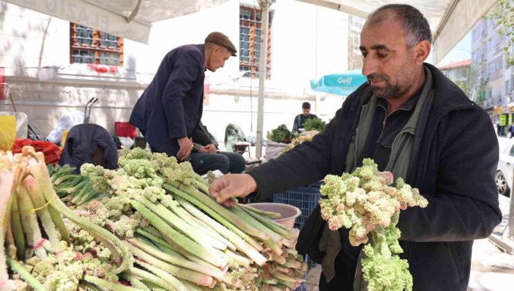 ‘Doğu’nun Muzu’ Tezgahlara İndi: Şifa Deposu Işkın Elazığ’da Satışta!
