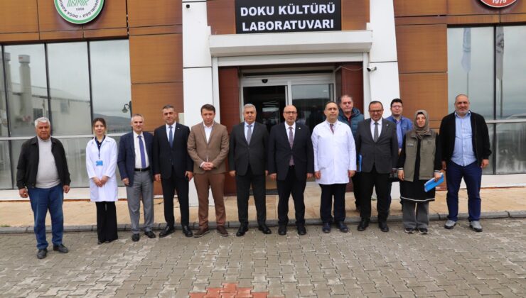 Üniversitede Stratejik Kenevir Hamlesi: Milletvekili Açıkkapı ve Akademisyenler Bir Araya Geldi