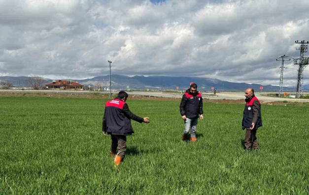 Elazığ’da hububat üreticilerine kök ve kök boğazı hastalık uyarısı