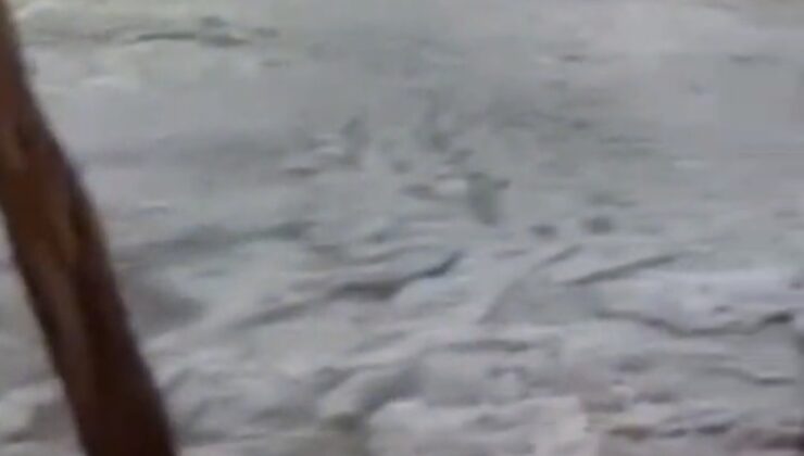 Yeniden Refah Partisi’nden Elazığ’daki Su Baskınlarına Tepki: “Bu Bir Doğa Olayı Değil, Yönetim Sorunudur”