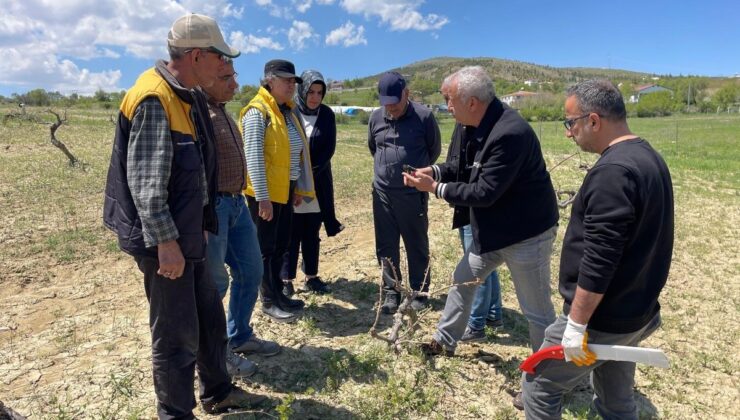 Elazığ’da Tarla Okulu eğitimleri