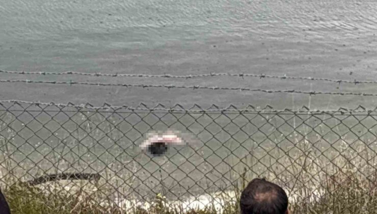 Zihinsel engelli şahıs gölette ölü bulundu