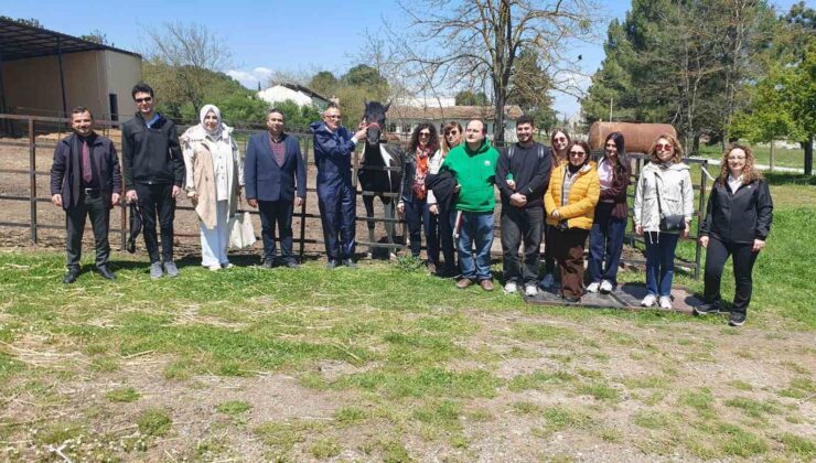 Engel Tanımayan Sevgi: Özel Öğrenciler Hayvanlarla Buluştu