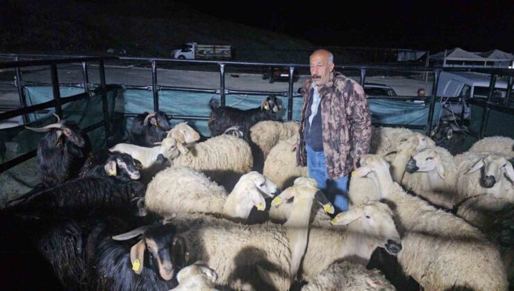 Elazığ’da kurban pazarında uykusuz mesai: Geceyi hayvanlarının başında geçiriyorlar