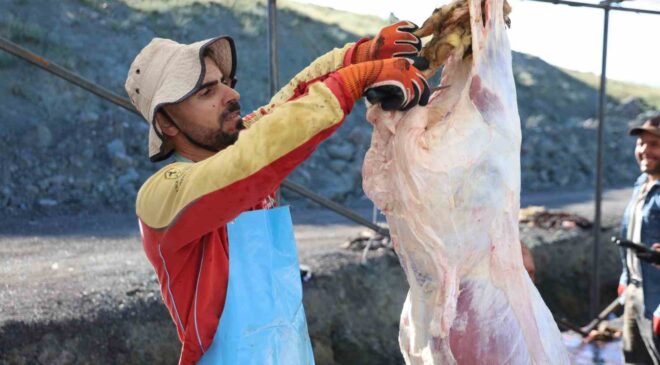 Elazığ’da bayram namazını kılan vatandaşlar kurbanlarını kesti
