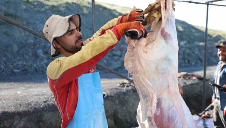 Elazığ’da bayram namazını kılan vatandaşlar kurbanlarını kesti