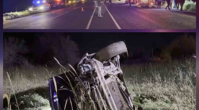 Domuza çarpan otomobil şarampole uçtu: 5 yaralı