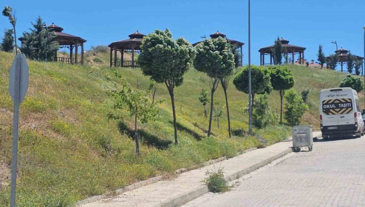 Elazığ’da şiddetli rüzgar etkili oldu