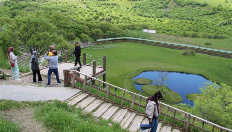 Bingöl’deki Yüzen Adalar’a bayramda ziyaretçi akını
