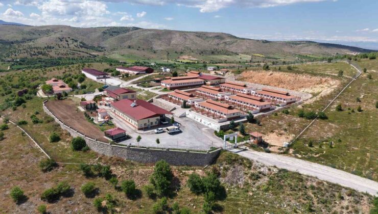 Elazığ Belediyesi Hayvan Bakım Merkezi’nde 9 yılda 15 bin 368 hayvan tedavi edildi