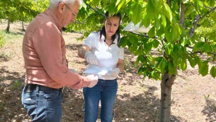 Elazığ’da meyve bahçelerinde takip çalışması