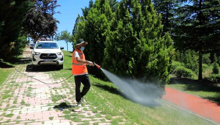 Elazığ’da ilaçlama çalışmaları aralıksız sürüyor