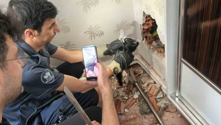 Baca boşluğunda mahsur kalan yavru kedi kurtarıldı