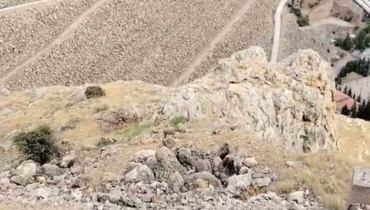 Keban’da dağ keçileri sürü halinde görüldü