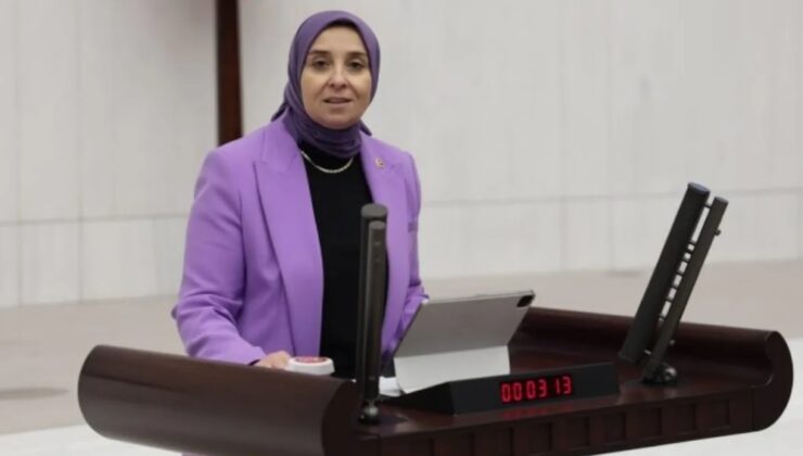 DEVA Partisi’nden Engelli Hakları Çıkışı: “Kazanılmış Haklar Bir Gecede Yok Edildi”