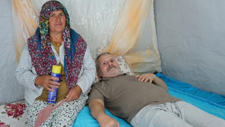 Felçli eşinin rahat etmesi için başında sinek nöbeti tutuyor