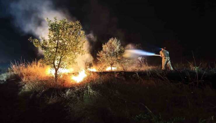 Kırsalda başlayan yangın ormana sıçradı
