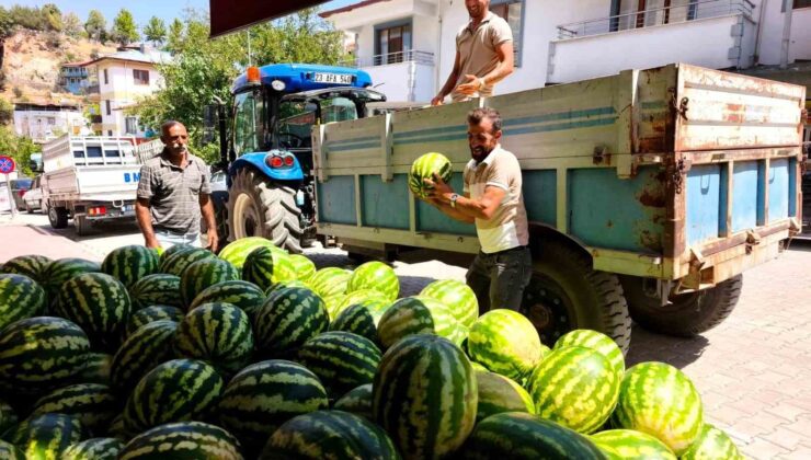Doğallığıyla damaklarda iz bırakan Hıdıroz Karpuzu tezgahlarda yerini aldı