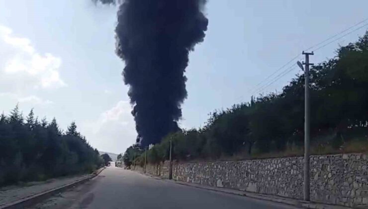 Elazığ’da fabrika yangını: Bölgeye çok sayıda ekip gönderildi